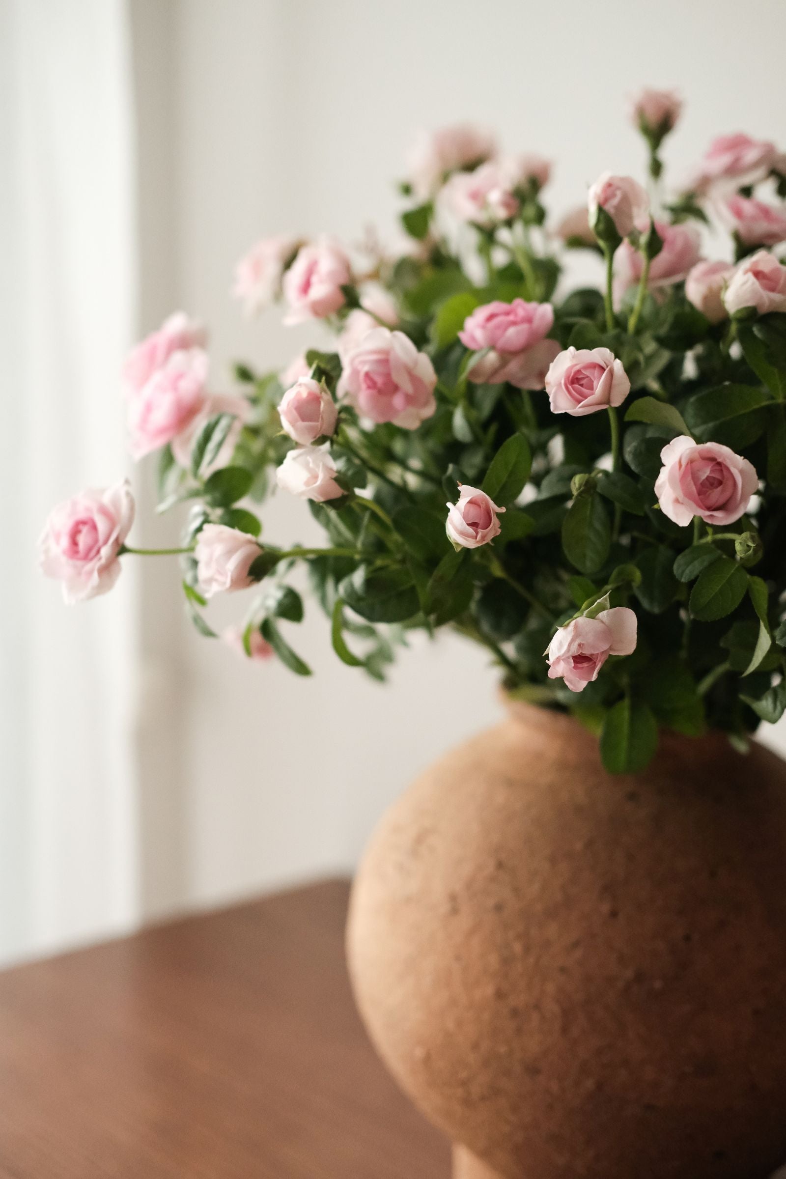 Pink roses in a terracotta vase